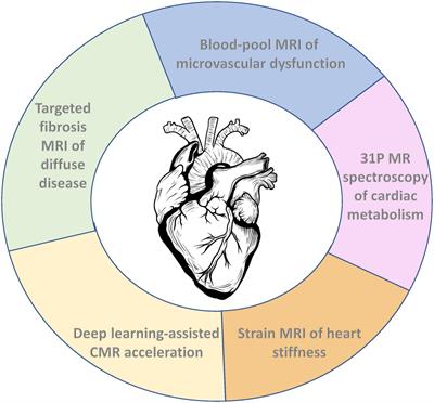 Emerging MRI techniques for molecular and functional phenotyping of the diseased heart